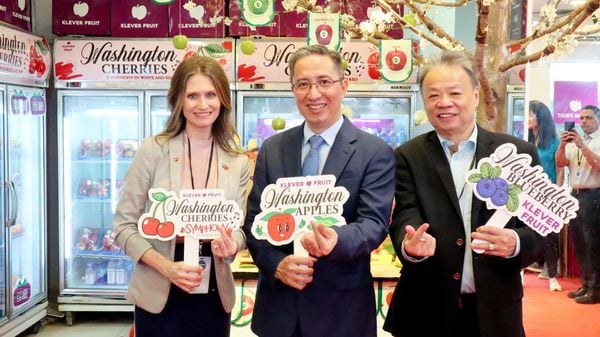 2_20101423d4704d47b0b51dc3fbbcf5c0_grande