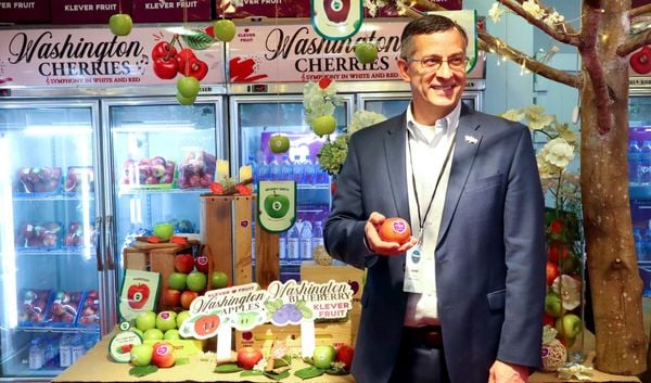 3_3b066c8025f3489aaf111f4ddf3031a8_grande