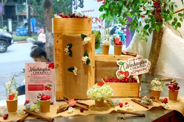 5_408dbd5f9bf14ebda0b49e50e0f68577_grande