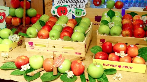 6_58f471d3ffde46679d3098a685de07f8_grande