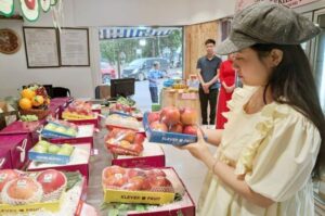 Nâng chất lượng để tăng kim ngạch xuất khẩu trái cây sang thị trường Mỹ