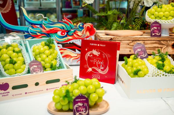 bla_4992_9fab94c9a54e4c54826b150fb36c78d3_grande