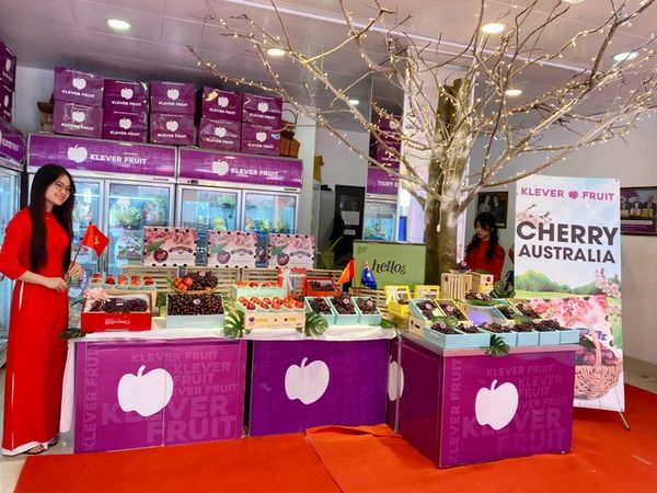 img-3293-9303_703860bf488b4f889d7c391816c9aaa5_grande