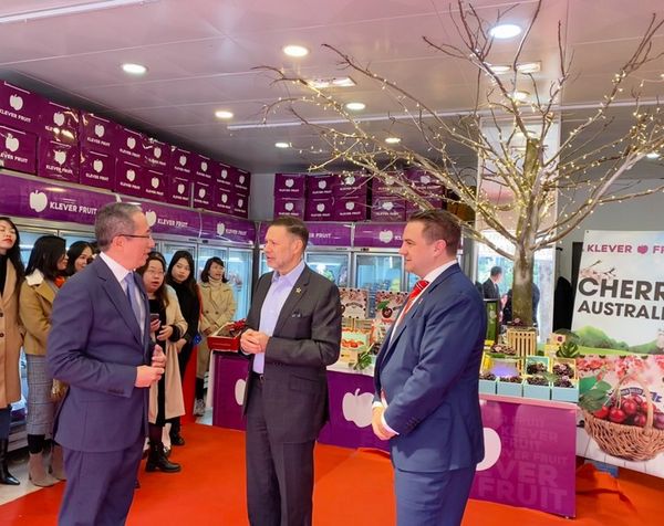 img-3295-3161_ad3ab812dc7b4ce5a80a68a44b57587c_grande