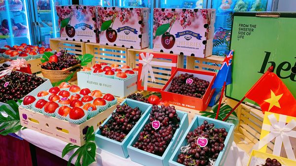 z4999332840034_dedbda4ef1c3d4c362f39a72c536efdd_a0627eb970324dd4b75887e809f39509_grande