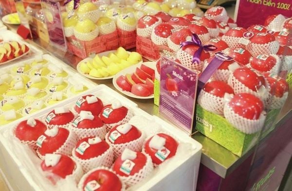 z5144755224821_33d14da46b46f05a2c7867f9902a54d8_3e7330f708d14f18a6f495012220b3d5_grande