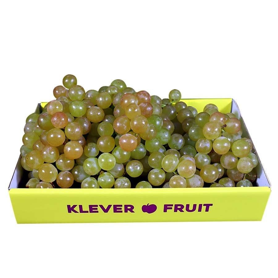 z5334222072666_147590186bb7fb9f7f2cc7c1cae36e82_4266a208323249279642839cb0522d3d_master Nho Chile Muscat Beauty