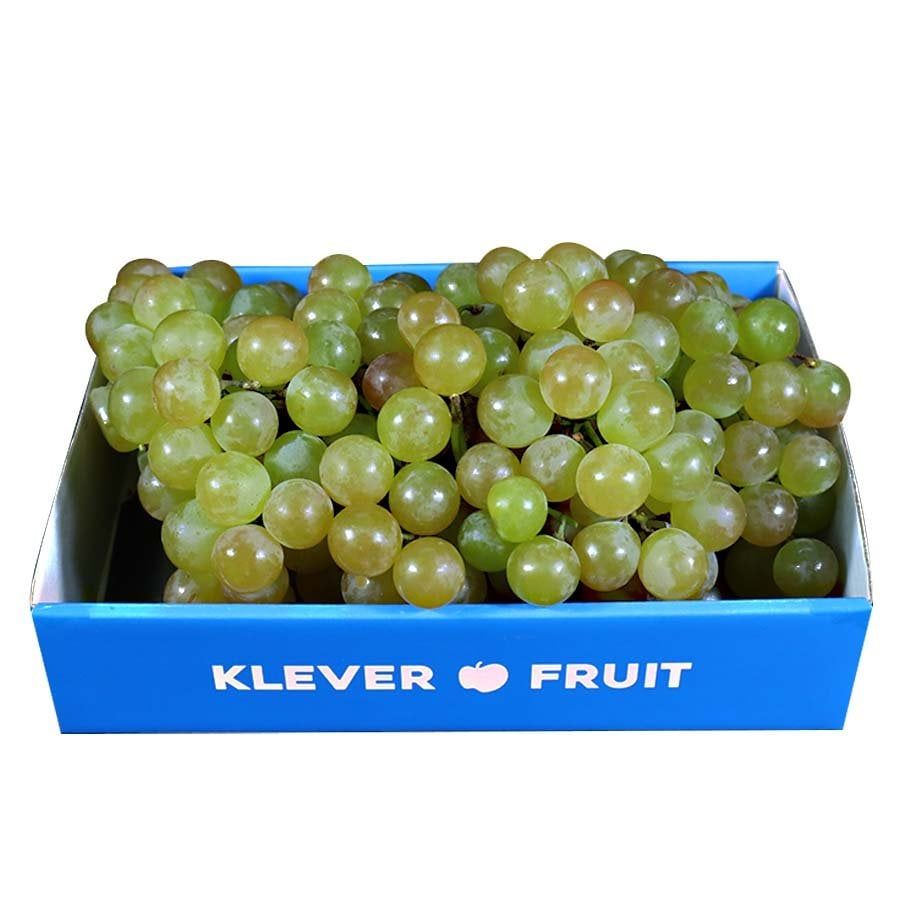 z5334222078742_d5428c7668a21dda400f7767758bda7d_ac8d2cb245624967b17e35637a9ef90b_master Nho Chile Muscat Beauty